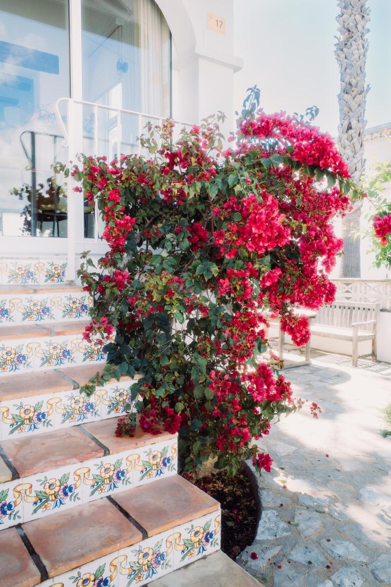 特乌拉达Casa Bianca 2别墅 外观 照片
